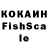 КОКАИН Fish Scale cornue ammonis