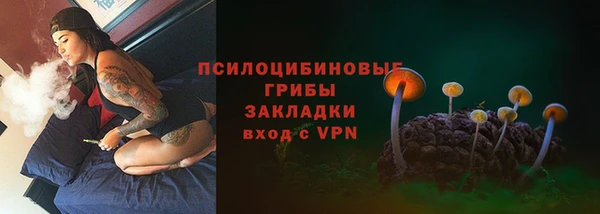 стаф Абдулино