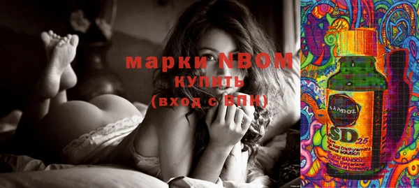 молекула духа Слюдянка