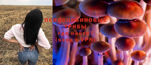 стаф Абдулино