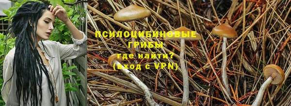 марки nbome Абаза